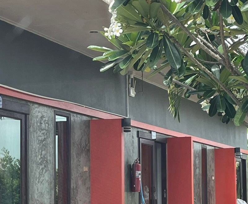 清水混凝土墙面搭配红色立柱的客房楼，上方是盛开的白色鸡蛋花